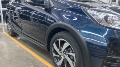 モールコーティング